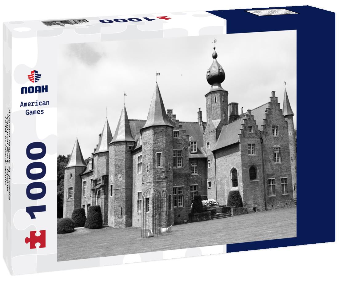 Noah Jigsaw Puzzle Autumn leaves in Acadia National Park, Maine, USA in black white 1000 pieces