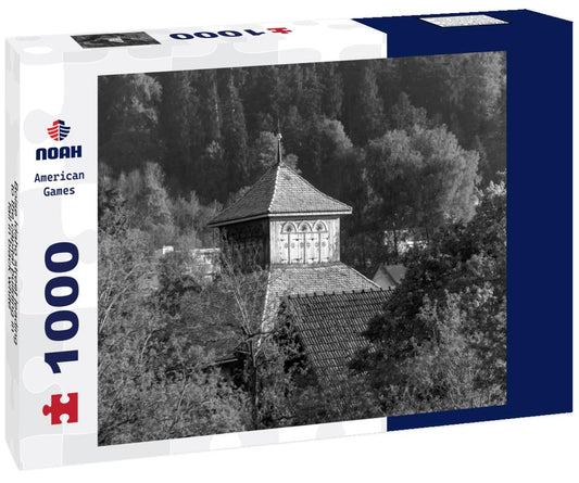 Noah Jigsaw Puzzle Boise Idaho street leading to the capital building in fall in black white 1000 pieces