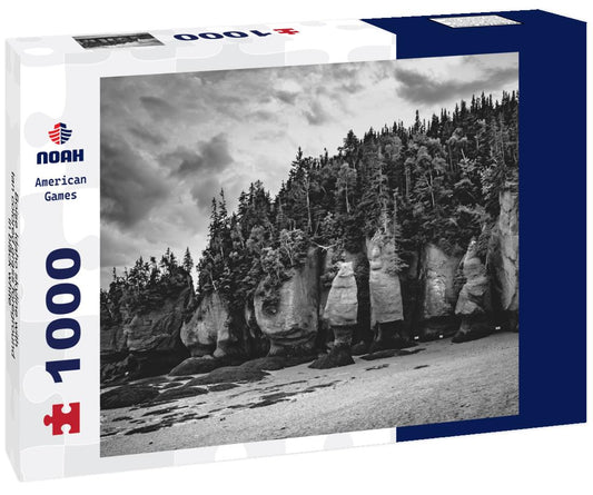 Noah Jigsaw Puzzle Boise Idaho skyline with tan colored grass foreground in black white 1000 pieces