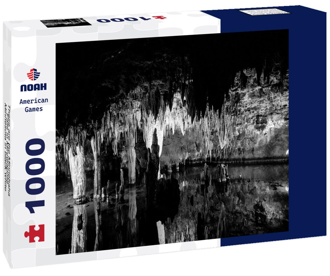 Noah Jigsaw Puzzle These are the Minnehaha Falls in Minneapolis, Minnesota in black white 1000 pieces
