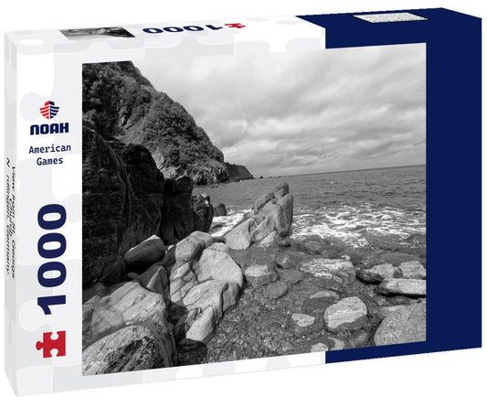 Noah Jigsaw Puzzle View from St. Georgs Church - Nördlingen, Germany. Tilt shift effect in black white 1000 pieces