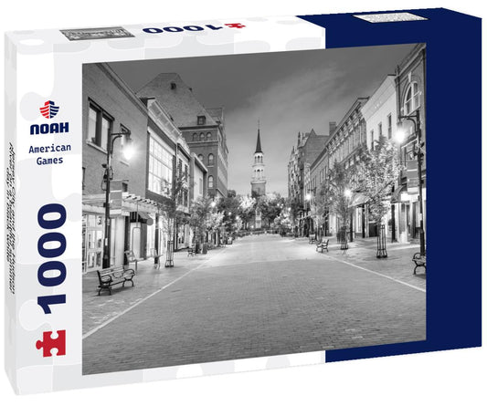 Noah Jigsaw Puzzle Jersey City and the Hudson River on a beautiful summer day in black white 1000 pieces