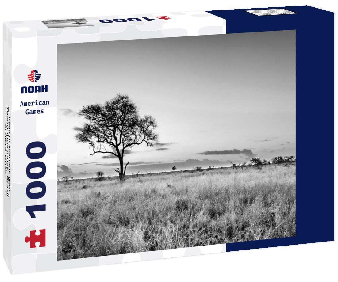 Noah Jigsaw Puzzle View of Manaus with Teatro Amazonas, Brazil in black white 1000 pieces