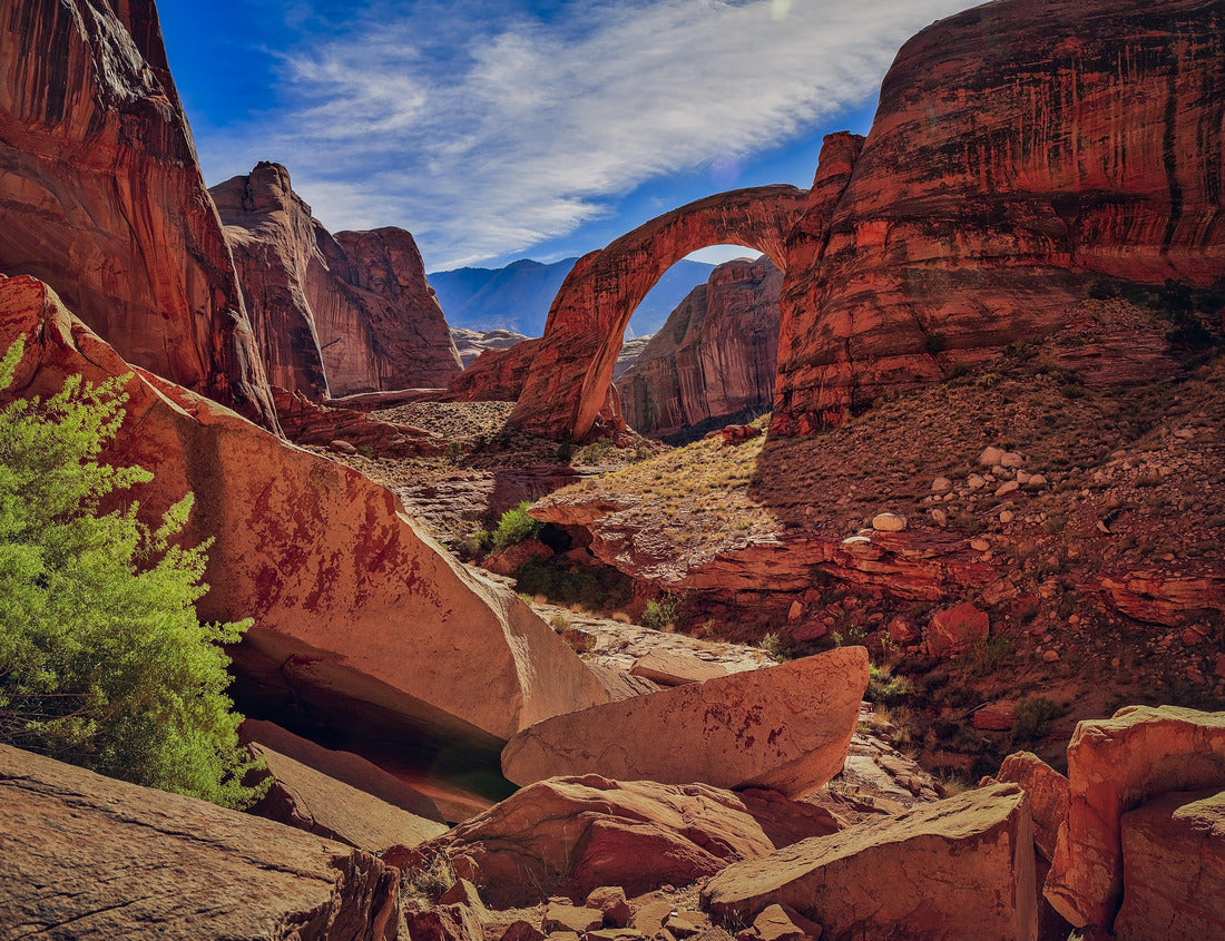 Noah Jigsaw Puzzle Beautiful rock formation in Glen Canyon near Lake Powell, Utah. Rocks formed unbelievable bridge called Rainbow Bridge National Monument 1000 pieces
