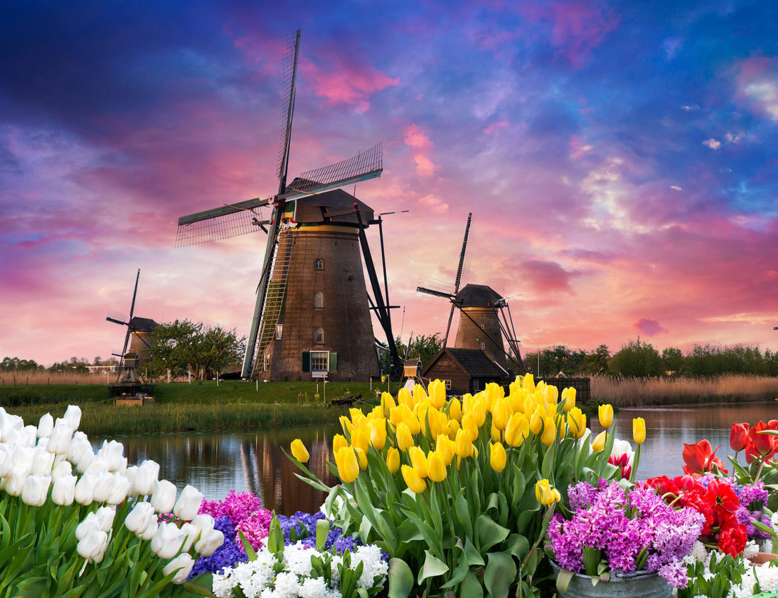 Noah Jigsaw Puzzle Windmill in Holland Michigan - An authentic wooden windmill from the Netherlands rises behind a field of tulips in Holland Michigan at Springtime 1000 pieces