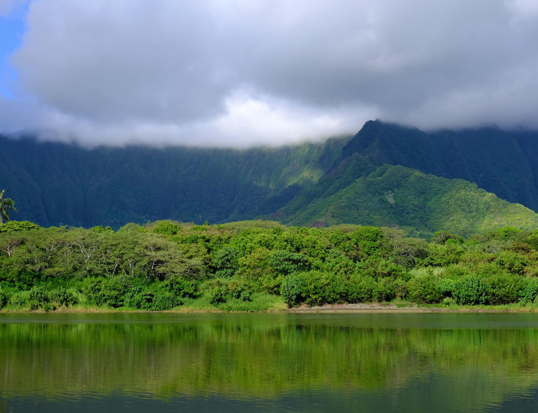 Noah Jigsaw Puzzle Ahuimanu Stream in Kahaluu, Oahu, Hawaii. Stream in foreground and Ko'olau mountains in the background. Surrounding landscape includes palm trees and tropical forest 1000 pieces