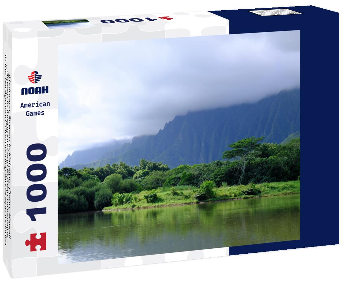 Noah Jigsaw Puzzle Ahuimanu Stream in Kahaluu, Oahu, Hawaii. Stream in foreground and Ko'olau mountains in the background. Surrounding landscape includes palm trees and tropical forest 1000 pieces