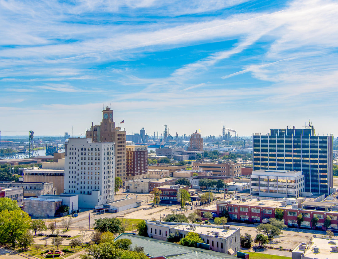 Noah Jigsaw Puzzle Aerial view Beaumont Texas cityscape 1000 pieces
