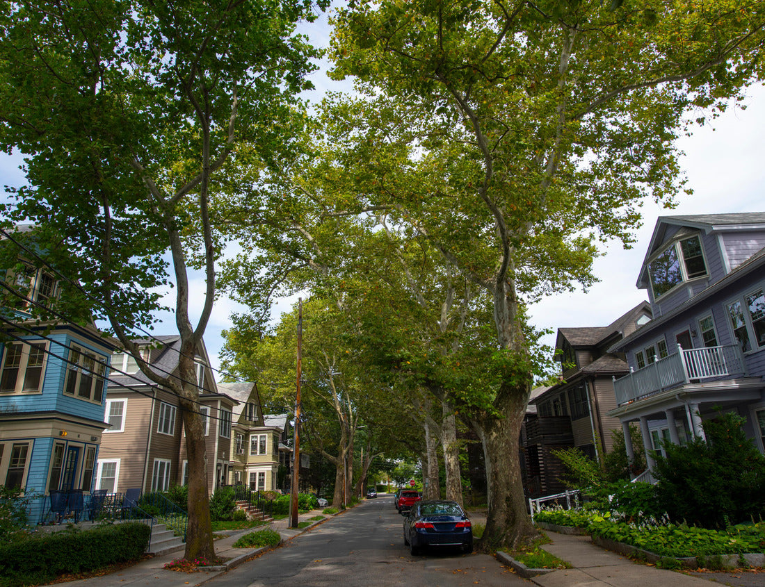Noah Jigsaw Puzzle Historic buildings on Beals Street in the Coolidge Corner of Brookline near Boston, Massachusetts 1000 pieces