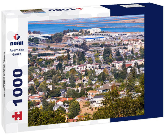 Noah Jigsaw Puzzle Aerial view of San Carlos in Silicon Valley 1000 pieces