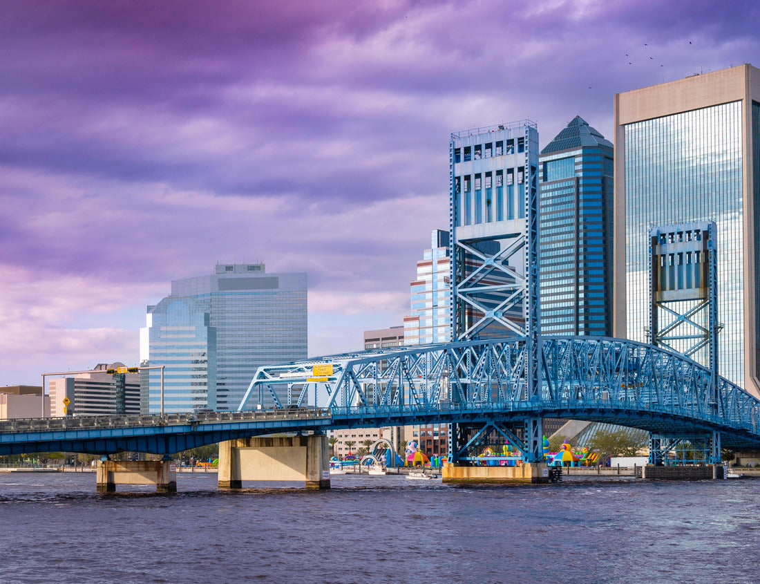 Noah Jigsaw Puzzle Jacksonville City downtown skyline, North Florida 1000 pieces