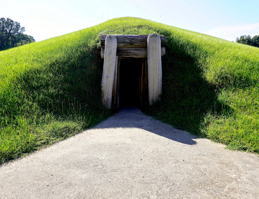 Noah Jigsaw Puzzle Ocmulgee Mounds National Historical Park in Macon, Georgia 1000 pieces