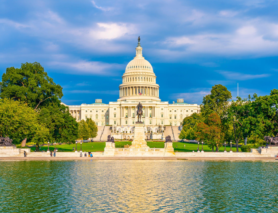 Noah Jigsaw Puzzle The United States Capitol,Washington, United States 1000 pieces