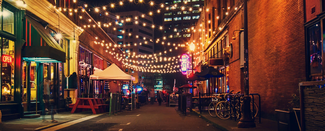 Noah Jigsaw Puzzle Portland's Alleys panorama 2000 pieces