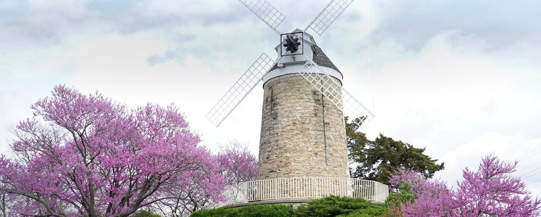 Noah Jigsaw Puzzle Windmill in Wamego City Park panorama 2000 pieces