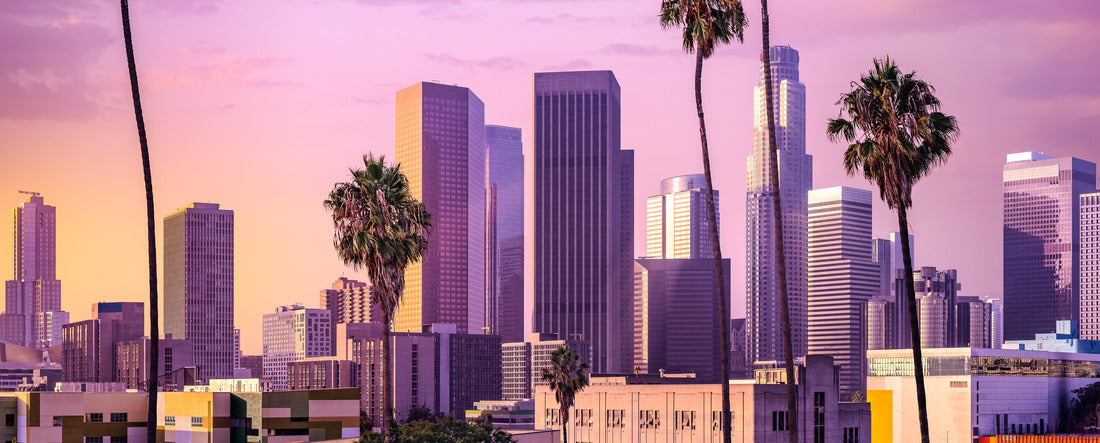 Los Angeles skyline at sunset 2000pc Panoramic Puzzle