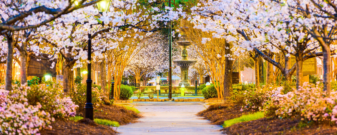 Macon, Georgia, USA in the spring 2000pc Panoramic Puzzle
