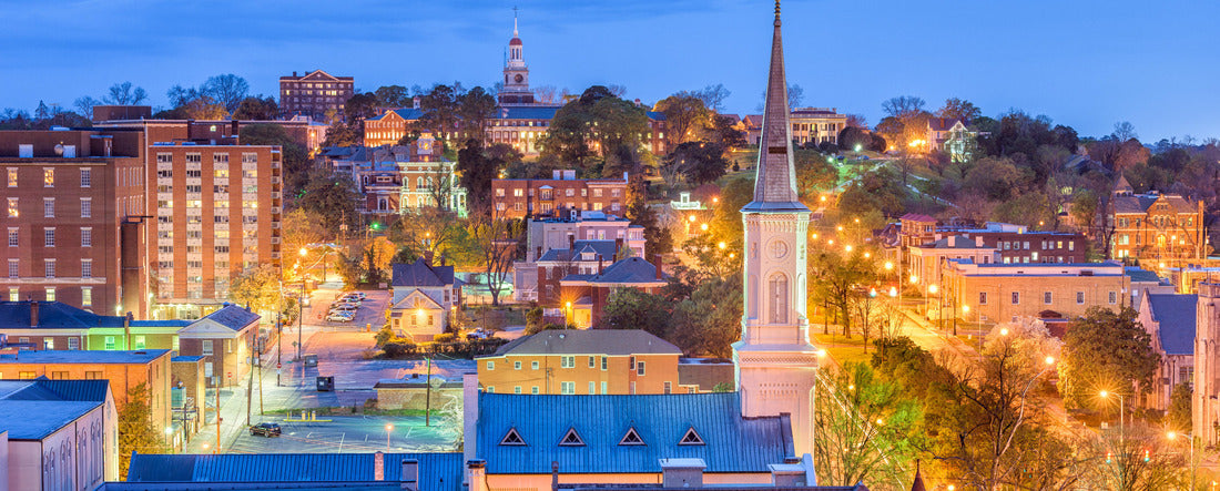 Macon, Georgia, USA downtown skyline 2000pc Panoramic Puzzle