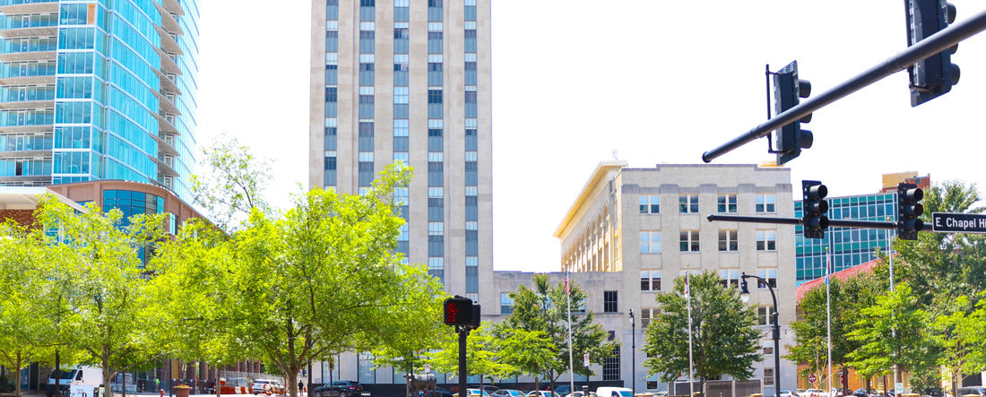 Noah Jigsaw Puzzle Durham, North Carolina / United States panorama 2000 pieces