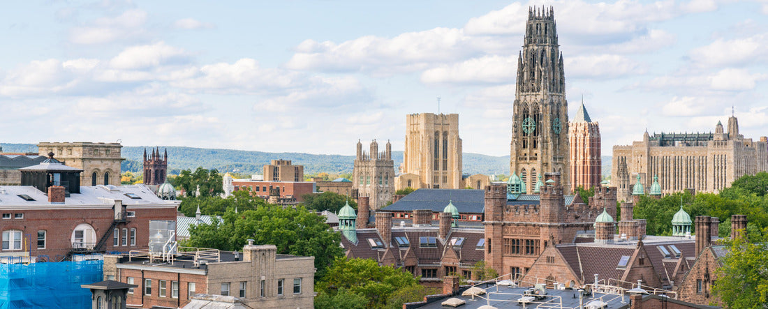 Noah Jigsaw Puzzle City skyline of New Haven, Connecticut panorama 2000 pieces