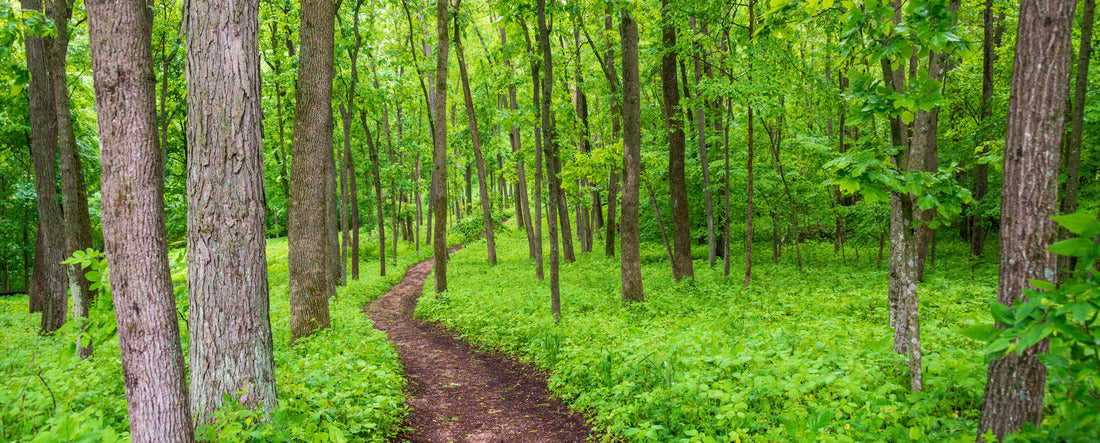 Noah Jigsaw Puzzle Effigy Mounds National Monument in Iowa panorama 2000 pieces