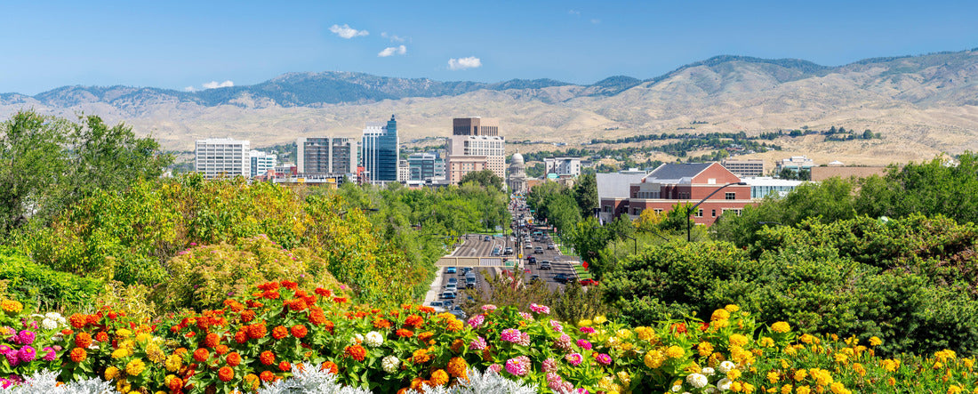 Colorful flowers and city of Boise Idaho 2000pc Panoramic Puzzle