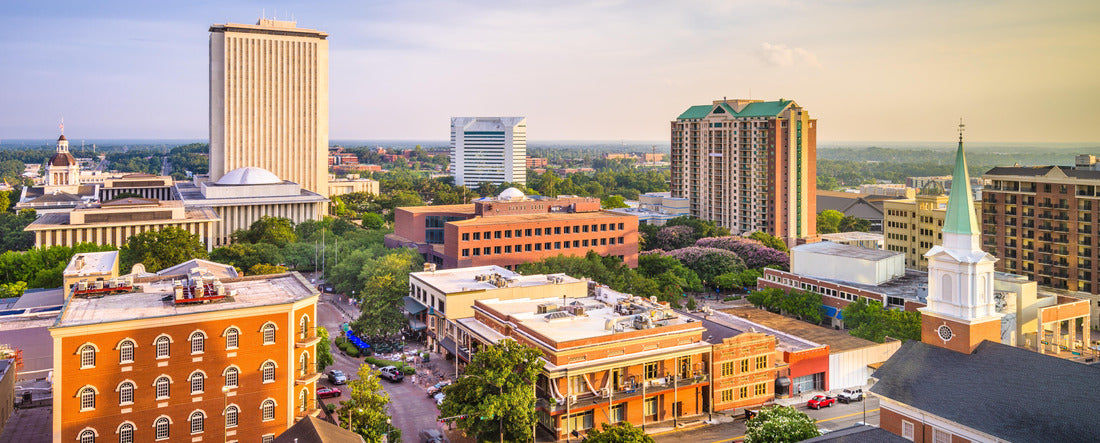 Tallahassee, Florida, USA downtown skyline 2000pc Panoramic Puzzle