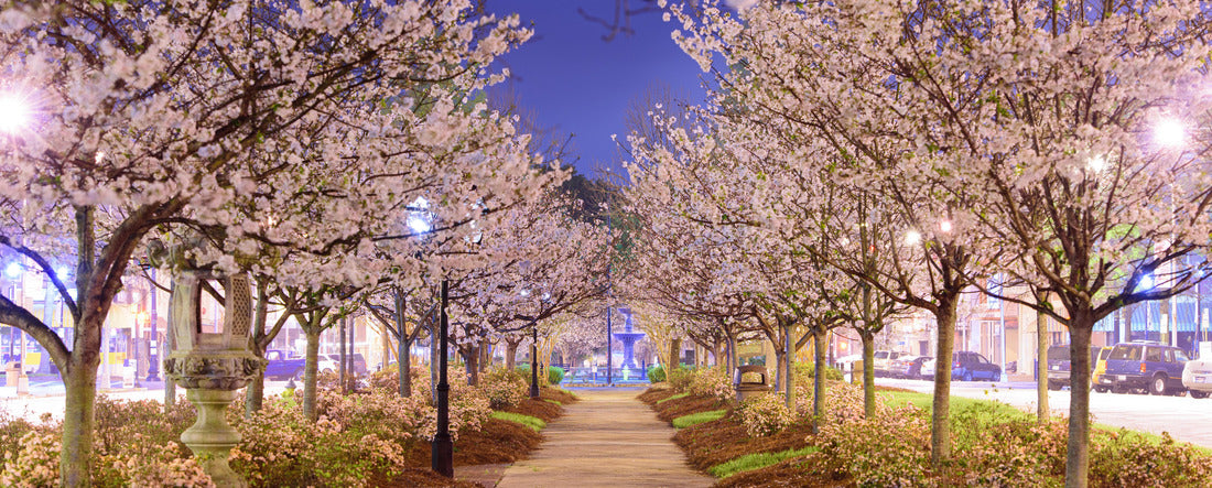Macon, Georgia, USA in the spring at night 2000pc Panoramic Puzzle