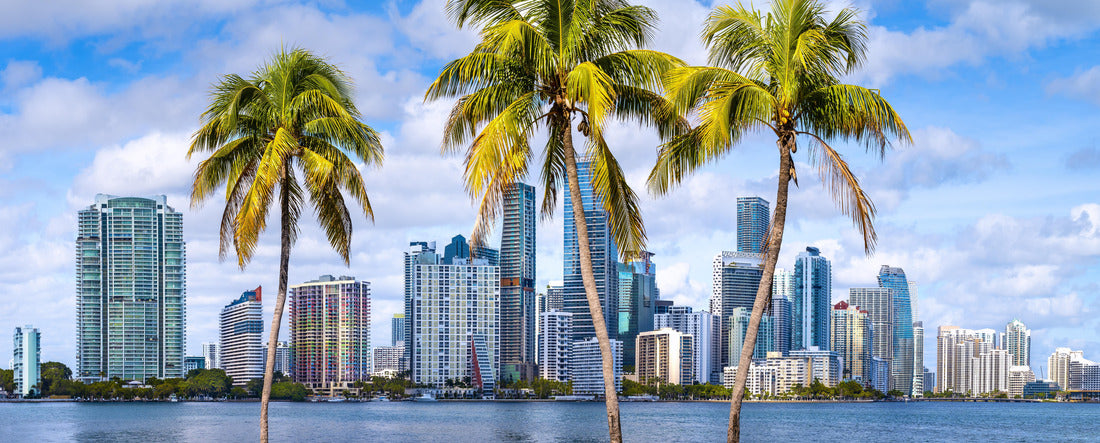 the skyline of Miami with palm trees, Florida 2000pc Panoramic Puzzle