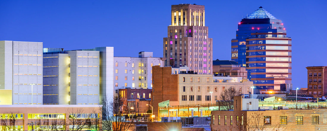 Noah Jigsaw Puzzle Durham, North Carolina, USA downtown city skyline panorama 2000 pieces