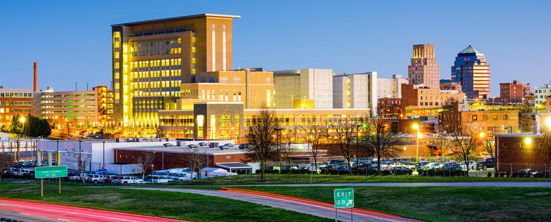 Noah Jigsaw Puzzle Durham, North Carolina, USA downtown city skyline panorama 2000 pieces