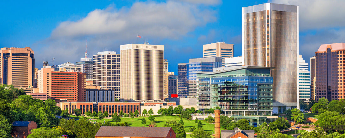 Richmond, Virginia park and skyline in the afternoon 2000pc Panoramic Puzzle