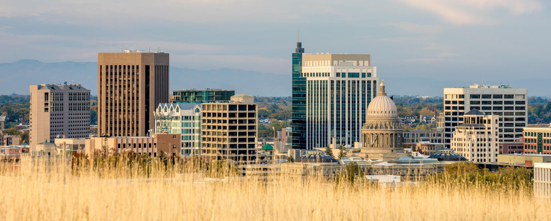 Boise Idaho skyline with tan colored grass foreground 2000pc Panoramic Puzzle