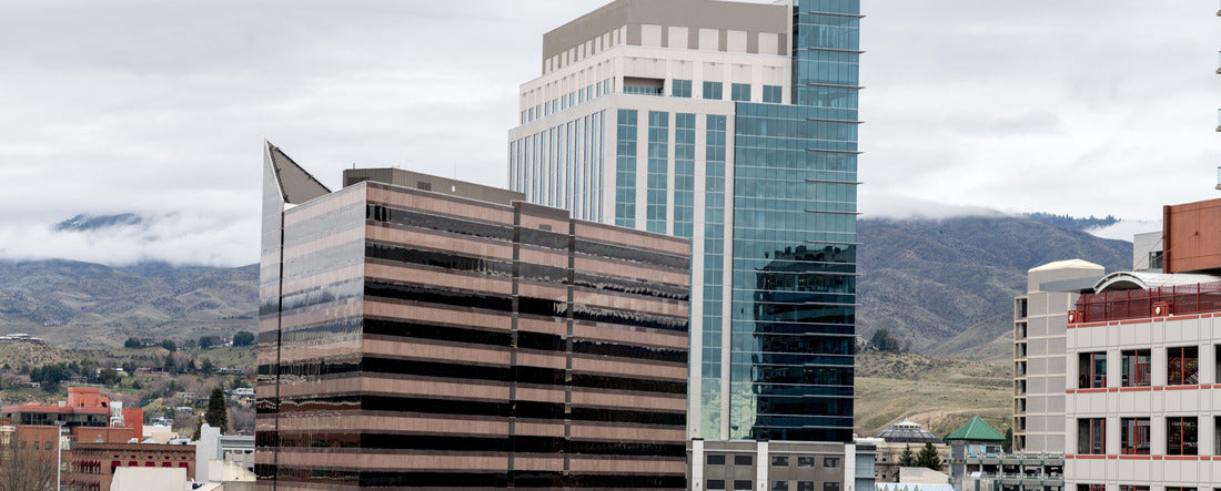 Downtown Boise Idaho skyline with two geese flying by 2000pc Panoramic Puzzle