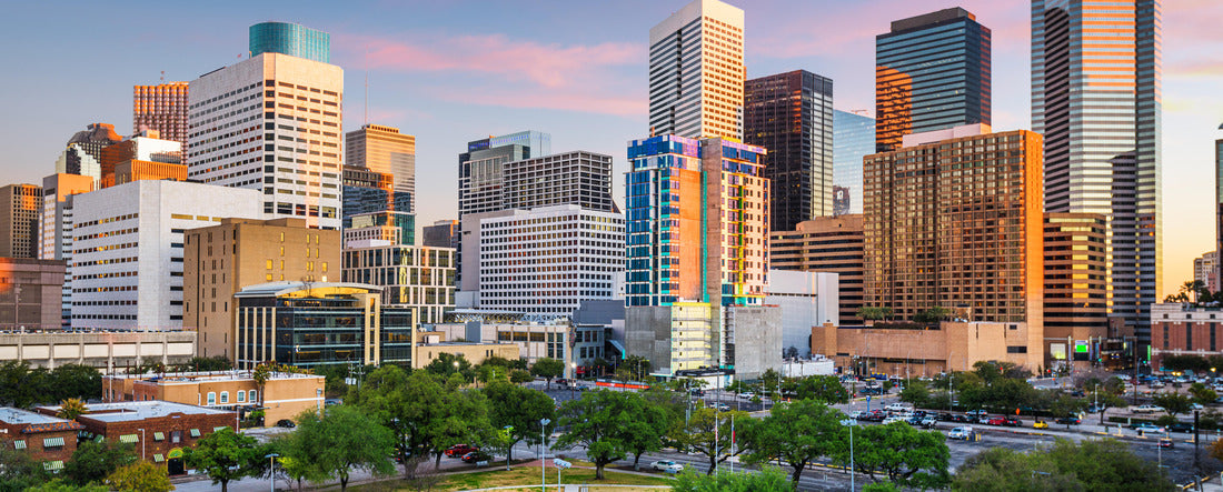 Houston, Texas, USA Downtown park and skyline at dusk 2000pc Panoramic Puzzle