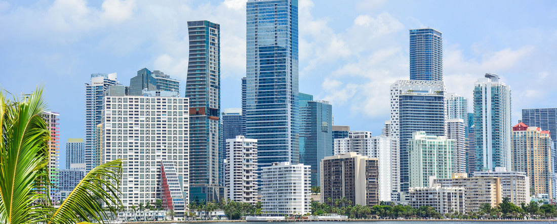 Downtown Miami skyline along waterfront in South Florida 2000pc Panoramic Puzzle