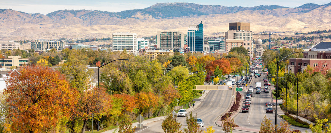 Boise Idaho street leading to the capital building in fall 2000pc Panoramic Puzzle