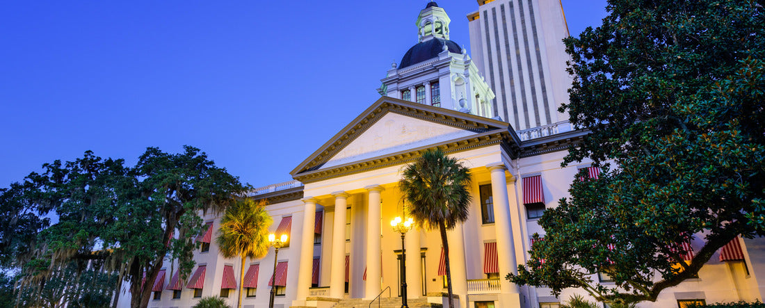 Tallahassee, Florida, USA at the Old and New Capitol Building 2000pc Panoramic Puzzle