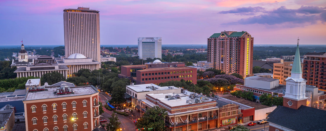 Tallahassee, Florida, USA downtown skyline from above at dusk 2000pc Panoramic Puzzle
