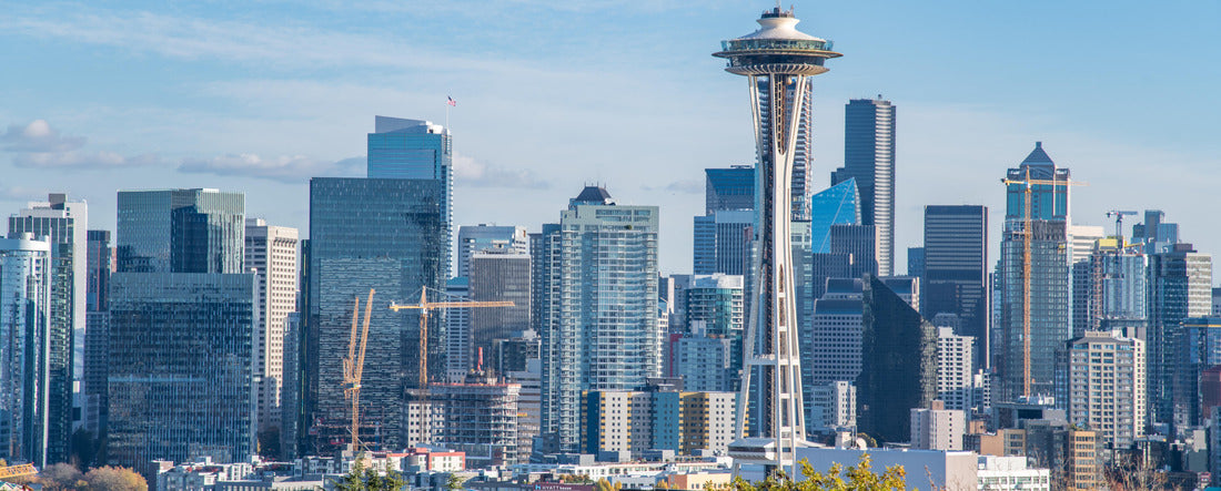 Cityscape view of Seattle, Washington on a sunny day from Kerry Park 2000pc Panoramic Puzzle