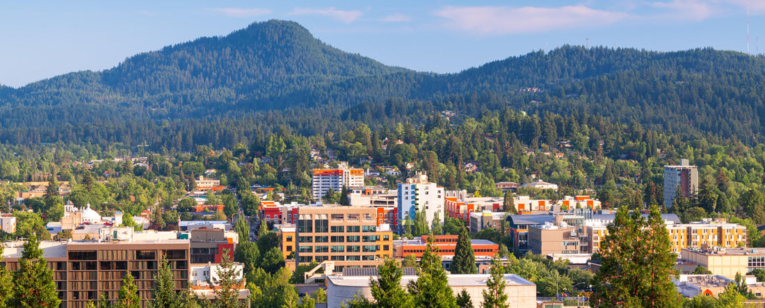 Eugene, Oregon, USA downtown cityscape and mountains in the afternoon 2000pc Panoramic Puzzle