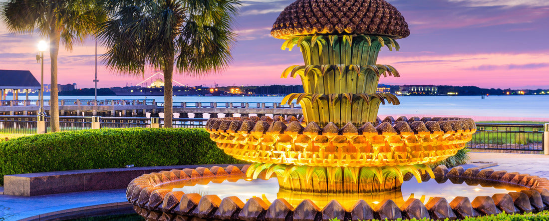 Charleston, South Carolina, USA at the Waterfront Park Pineapple Fountain 2000pc Panoramic Puzzle