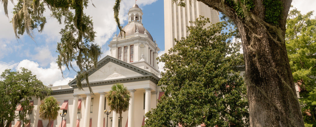 Blue Sky Behind White Clouds Over the State Capitol on Florida in Tallahassee 2000pc Panoramic Puzzle