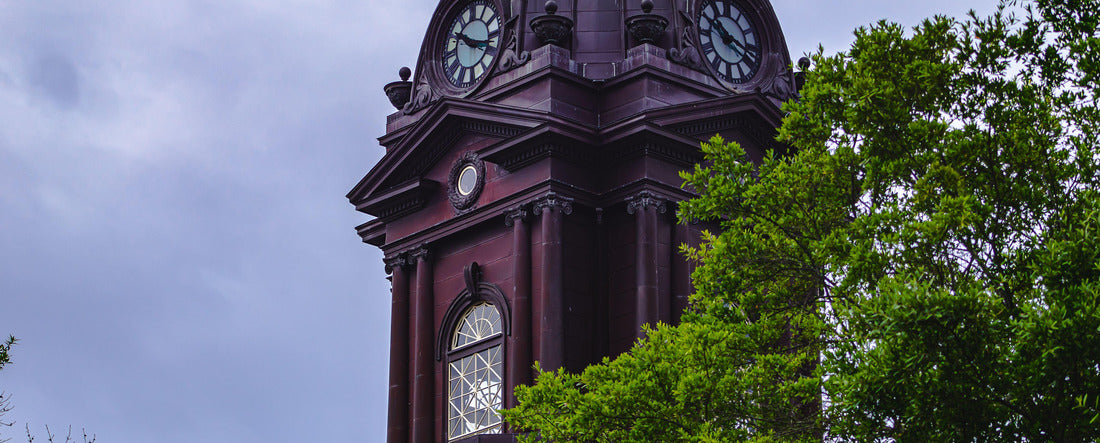 Der Uhrturm des Newnan, Georgia - Gerichtsgebäude hinter Bäumen mit blauem Himmel 2000pc Panoramic Puzzle