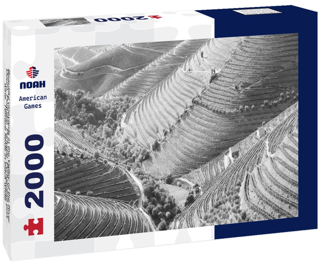 Noah Jigsaw Puzzle Beautiful vineyards in the Valley of the River Douro, Portugal, Portugal. Portuguese port wine. Terrace fields in black white 2000 pieces
