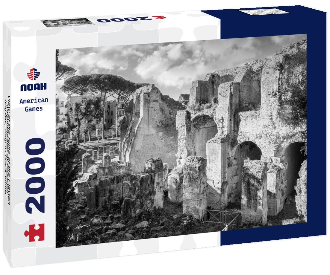Noah Jigsaw Puzzle View of the ruins of the Flavian Amphitheater of Pozzuoli, Naples, Italy in black white 2000 pieces