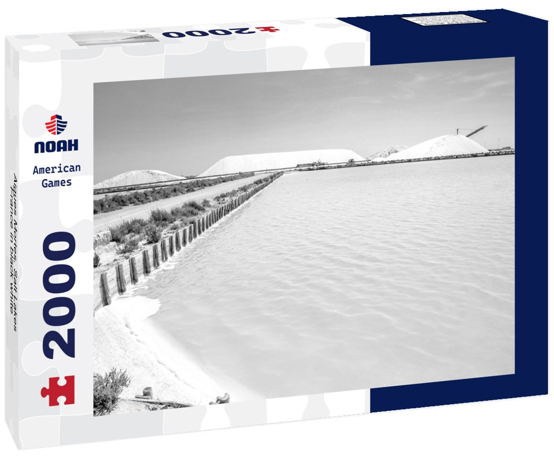 Noah Jigsaw Puzzle Aigues Mortes, Salt Lakes, France in black white 2000 pieces