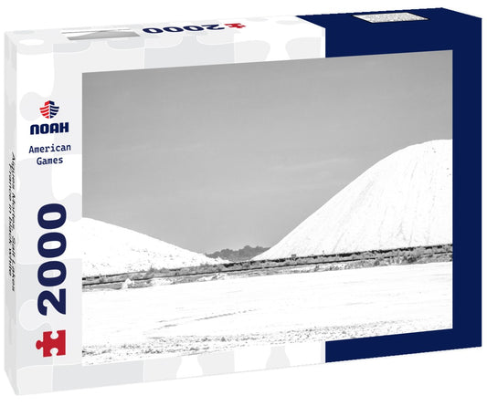 Noah Jigsaw Puzzle Aigues Mortes, Salt Lakes, France in black white 2000 pieces