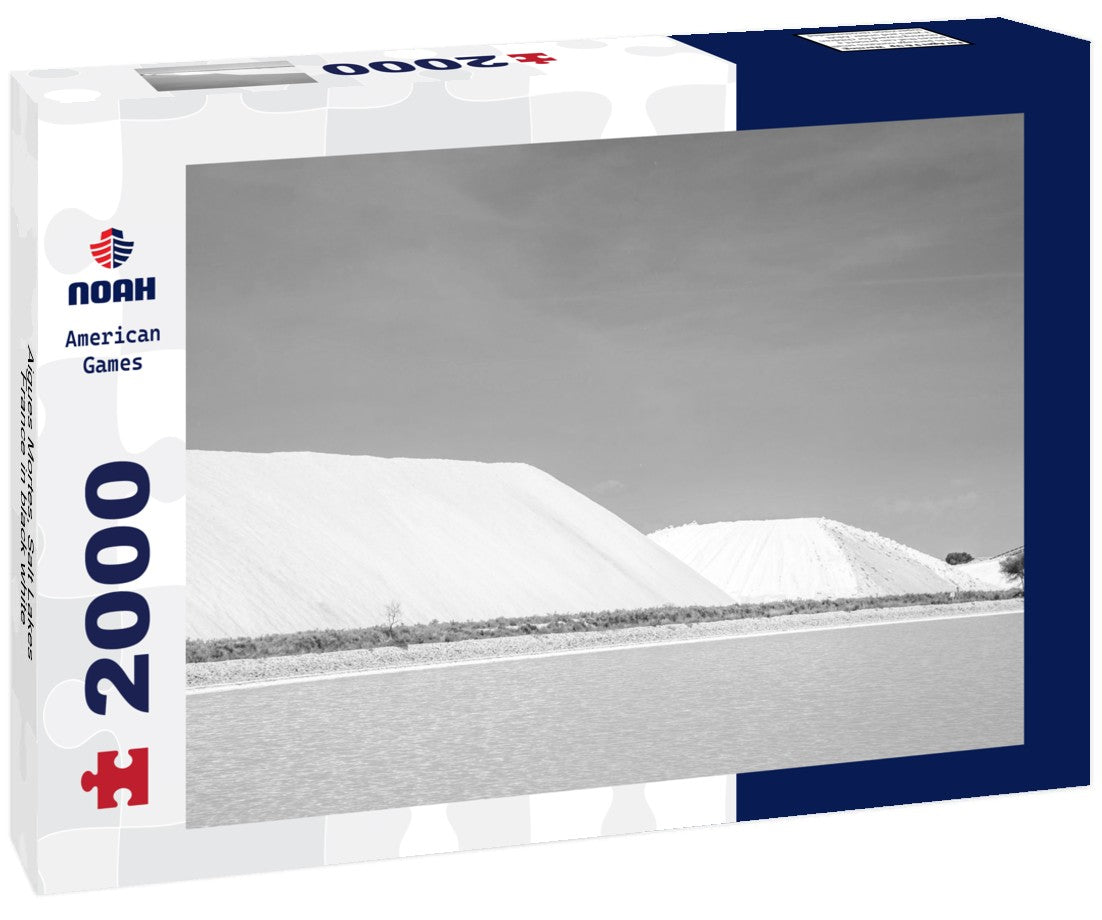 Noah Jigsaw Puzzle Aigues Mortes, Salt Lakes, France in black white 2000 pieces