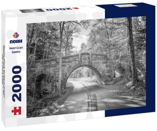 Noah Jigsaw Puzzle Stanley Brook Bridge in Acadia National Park on a sunny fall day in black white 2000 pieces